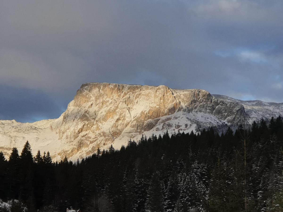 Apartment Durmitor ชาเบลียค ภายนอก รูปภาพ